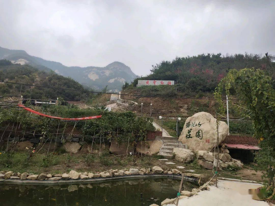 香蕉可以治便秘是真的吗？